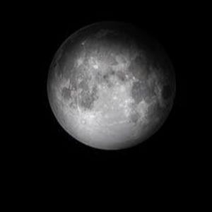 Meet your Posher, Noah